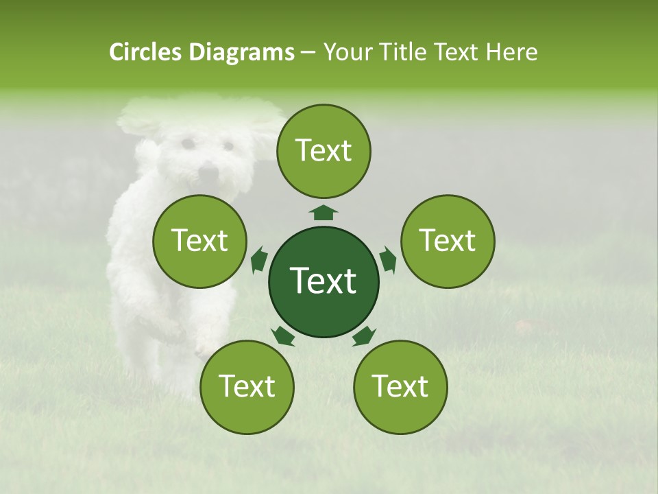 Dog Spring Gallop PowerPoint Template