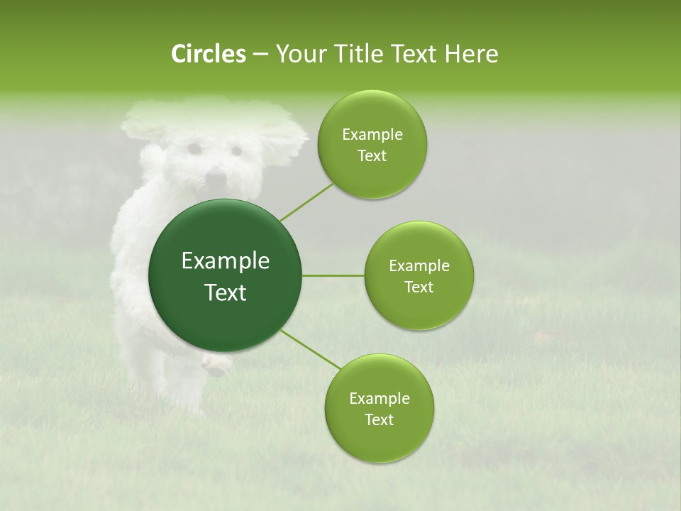 Dog Spring Gallop PowerPoint Template