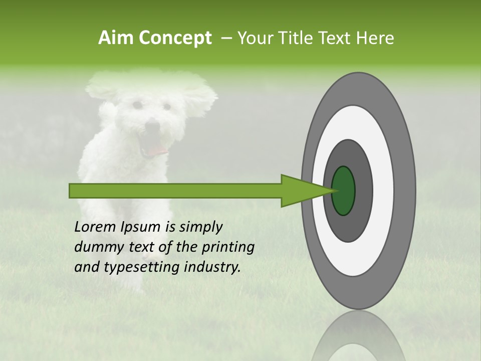 Dog Spring Gallop PowerPoint Template