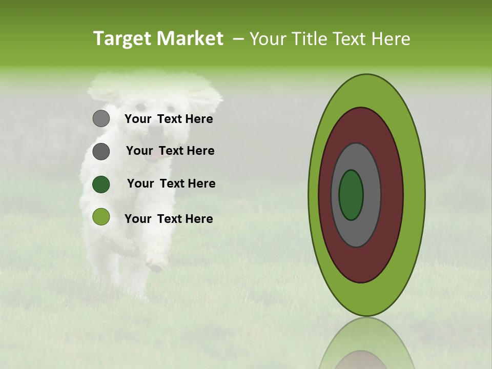 Dog Spring Gallop PowerPoint Template