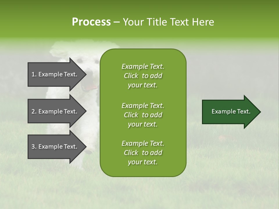 Dog Spring Gallop PowerPoint Template