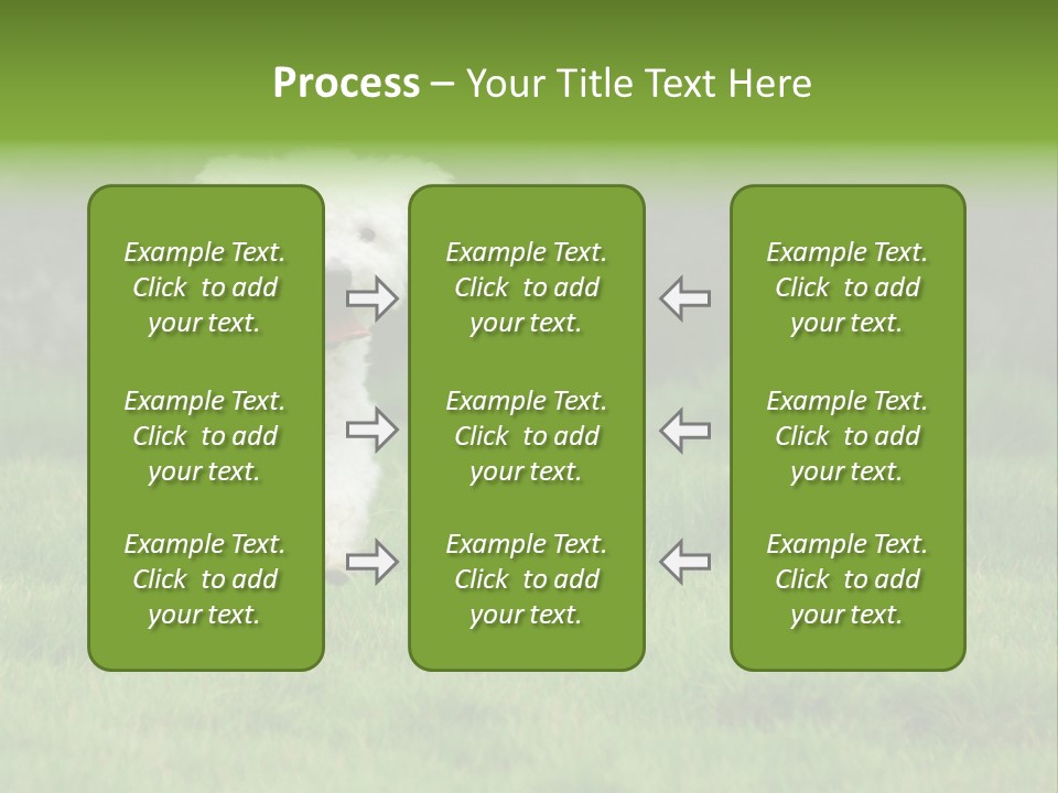 Dog Spring Gallop PowerPoint Template