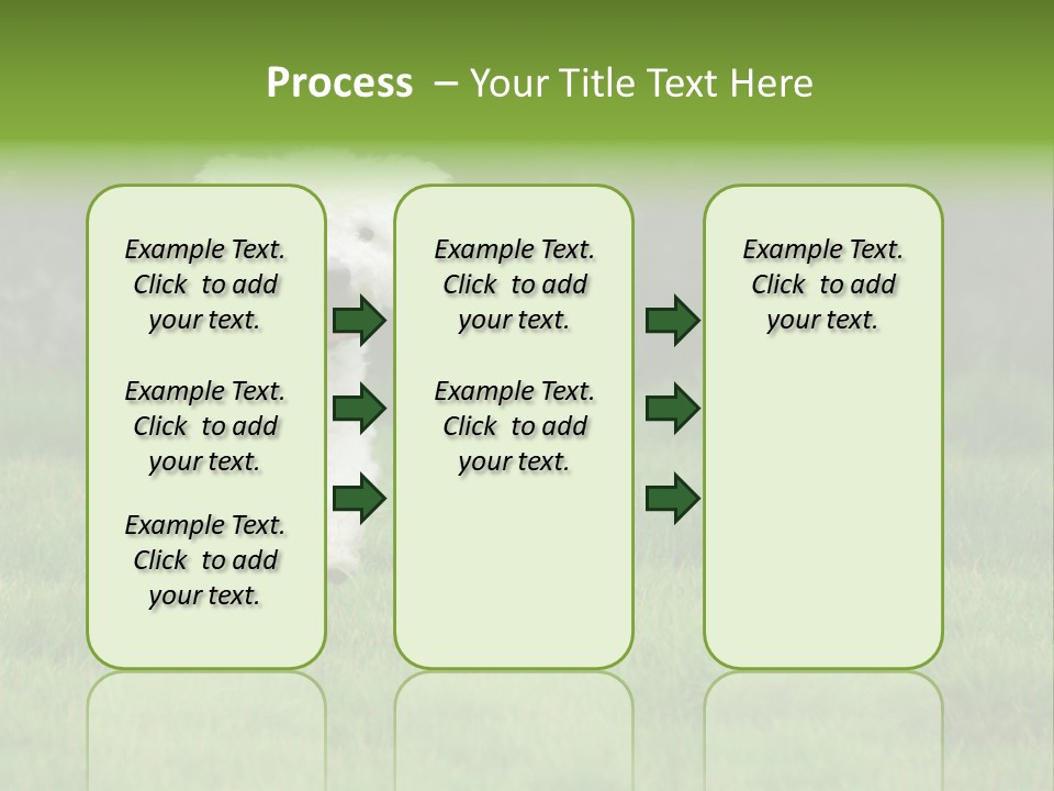 Dog Spring Gallop PowerPoint Template