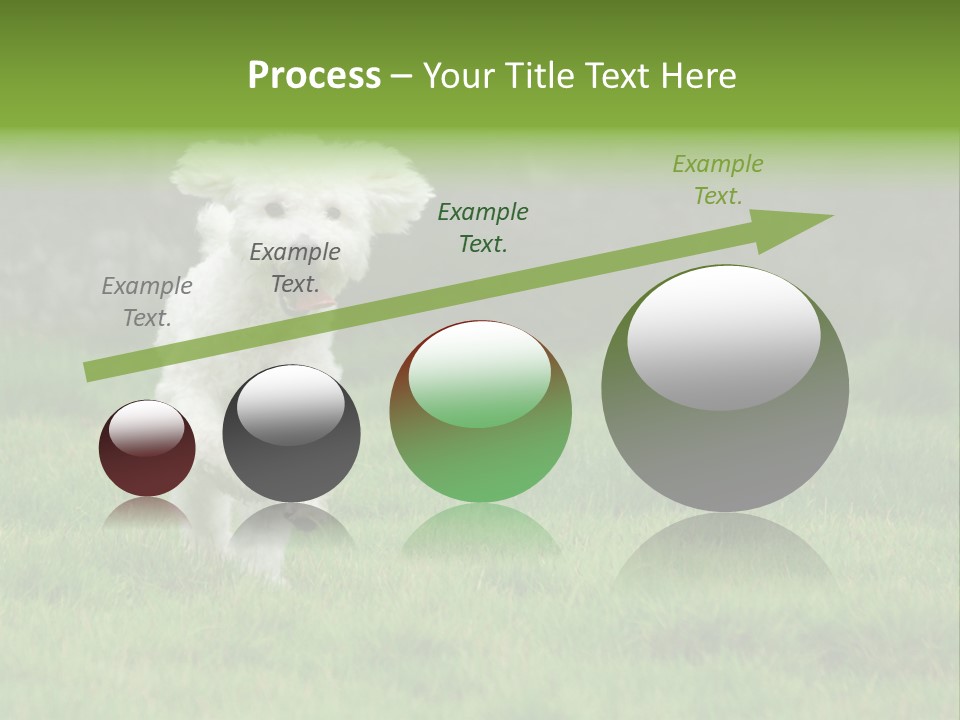 Dog Spring Gallop PowerPoint Template