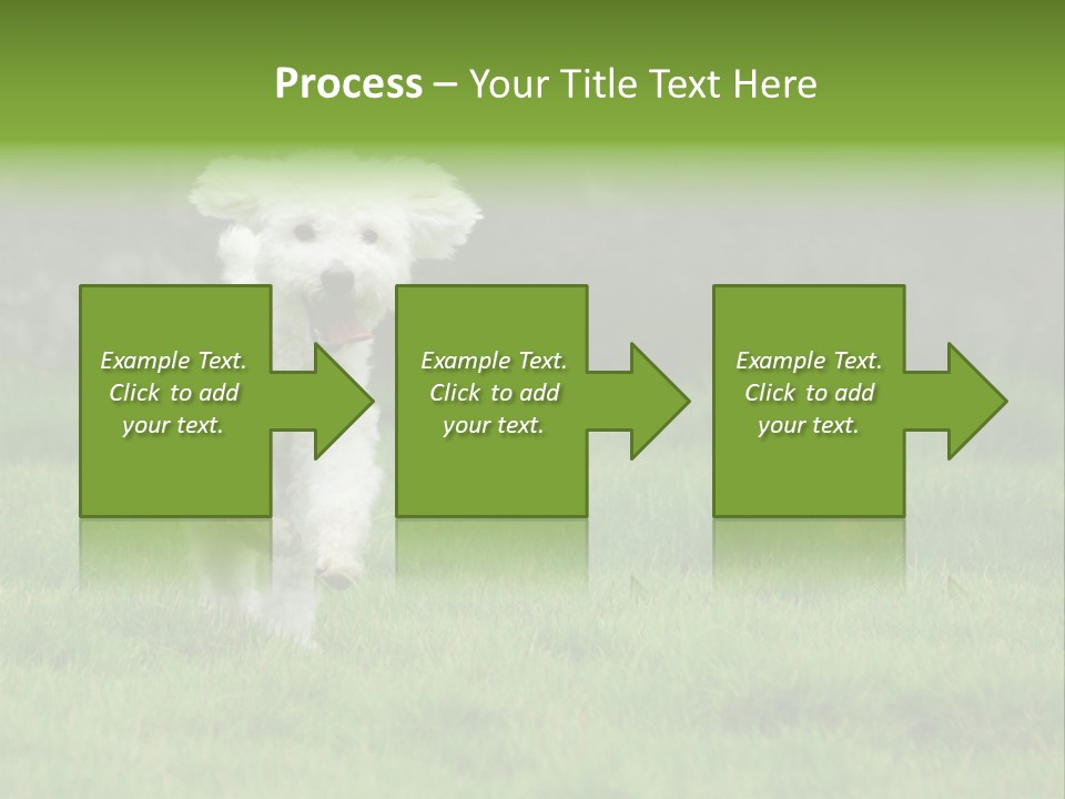 Dog Spring Gallop PowerPoint Template