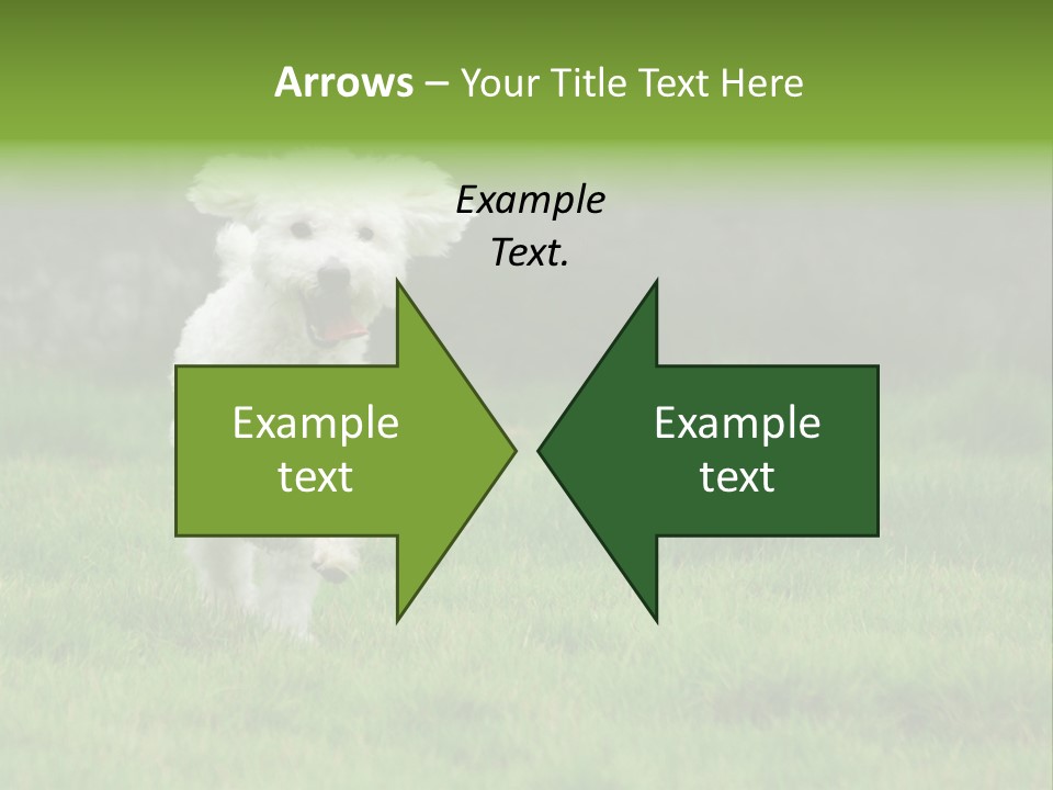 Dog Spring Gallop PowerPoint Template