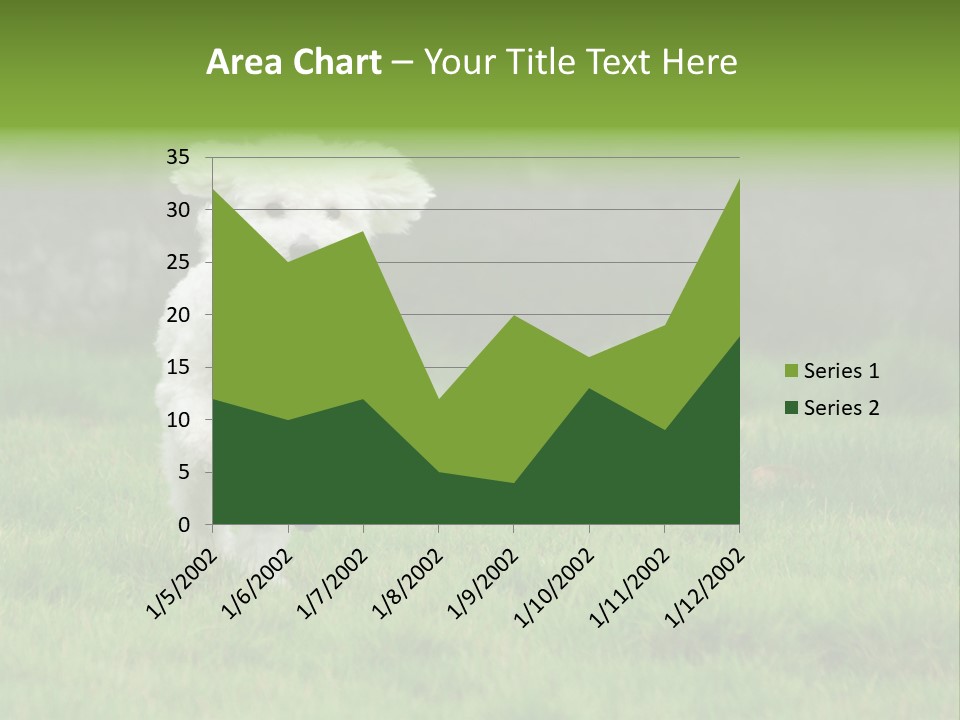 Dog Spring Gallop PowerPoint Template