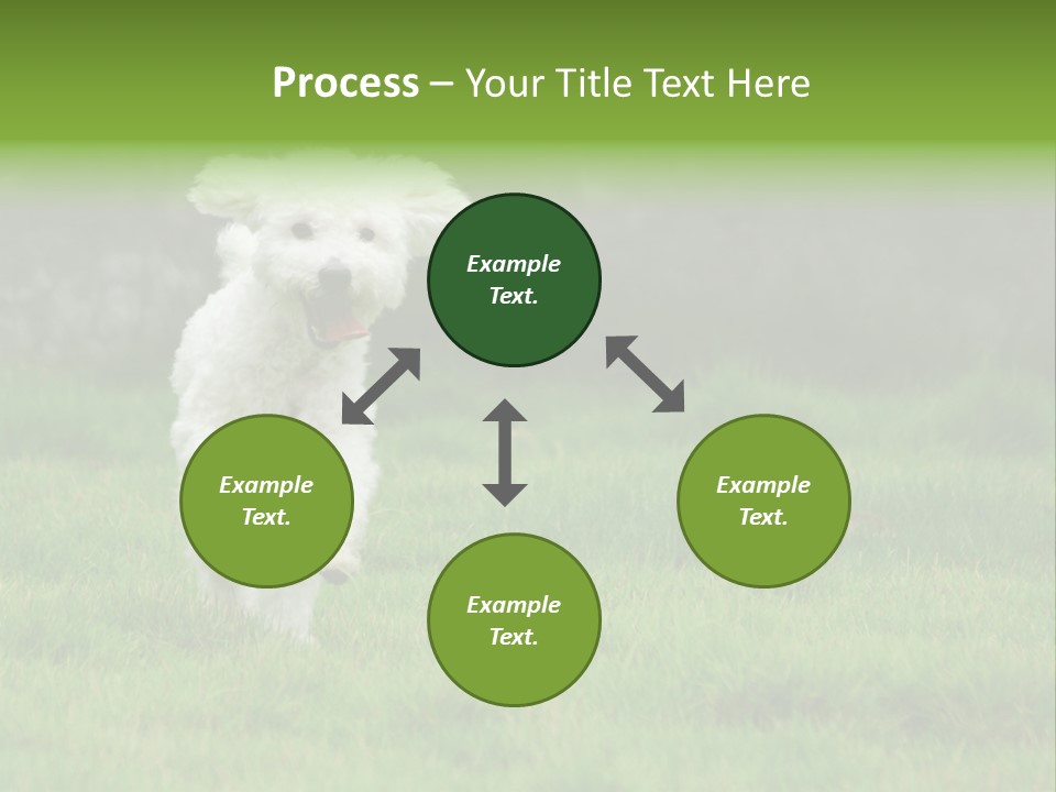 Dog Spring Gallop PowerPoint Template