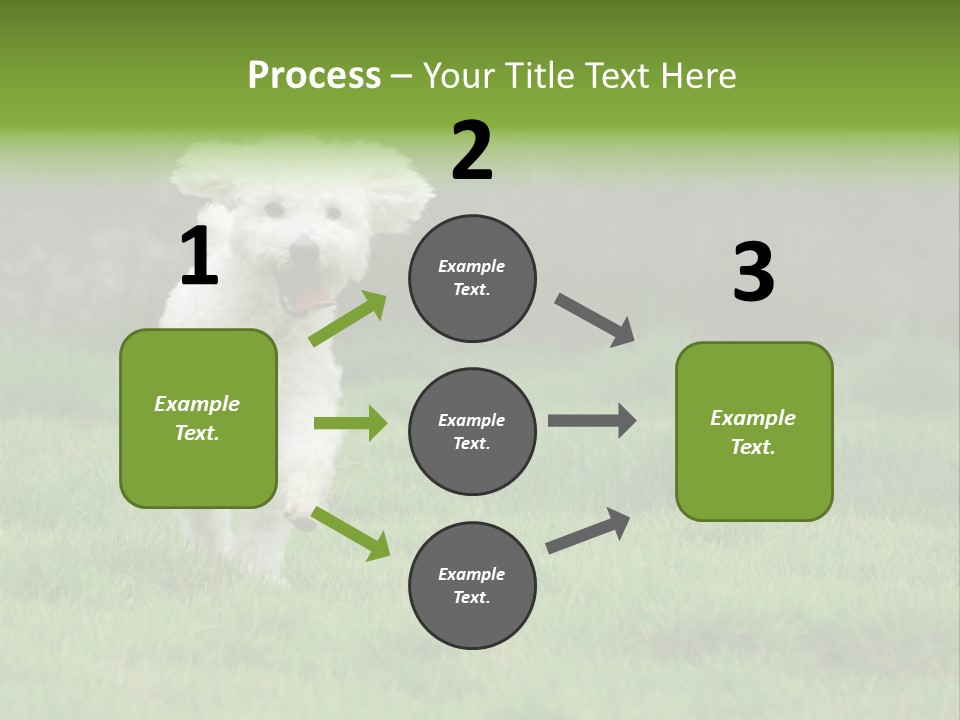 Dog Spring Gallop PowerPoint Template