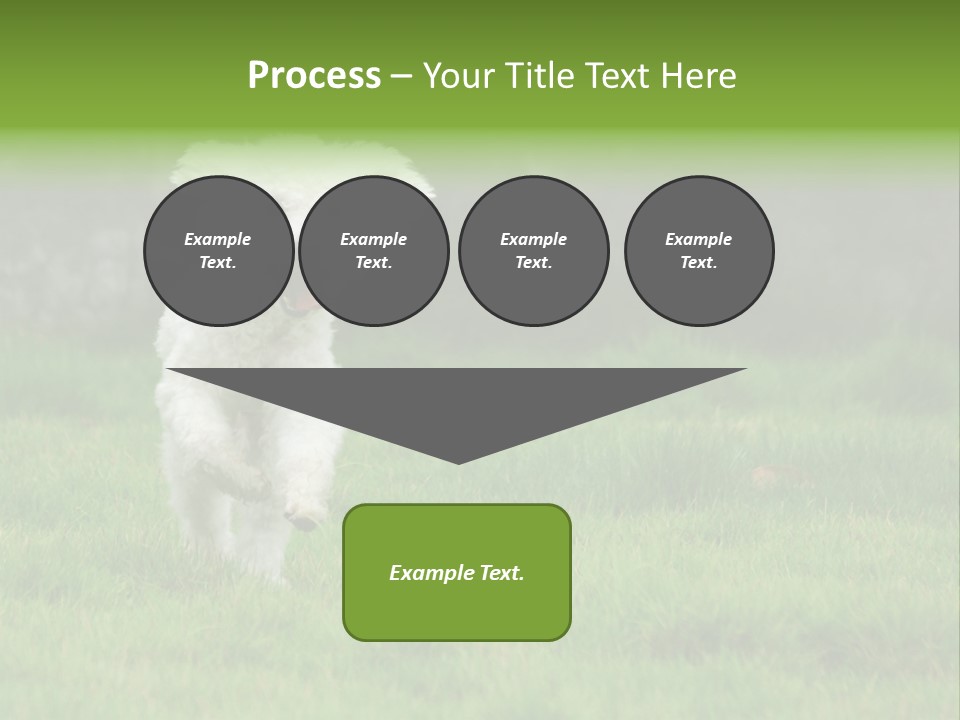 Dog Spring Gallop PowerPoint Template