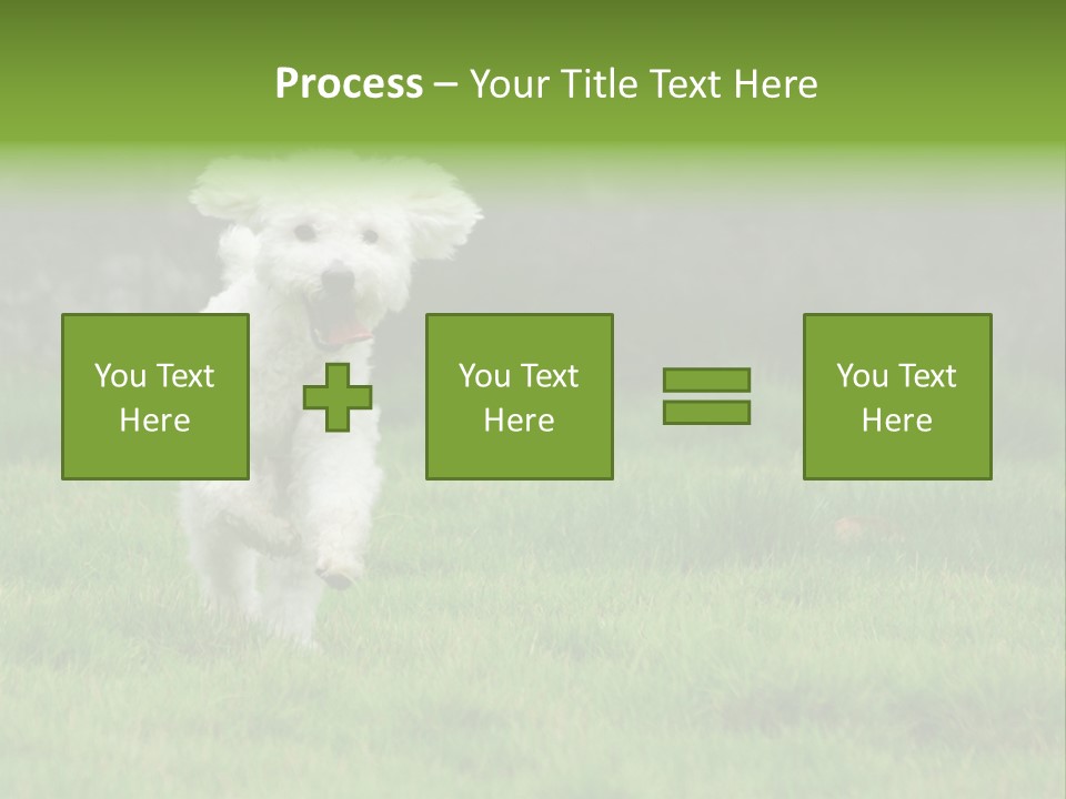 Dog Spring Gallop PowerPoint Template