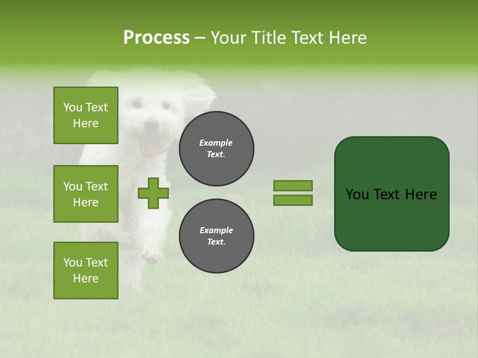 Dog Spring Gallop PowerPoint Template