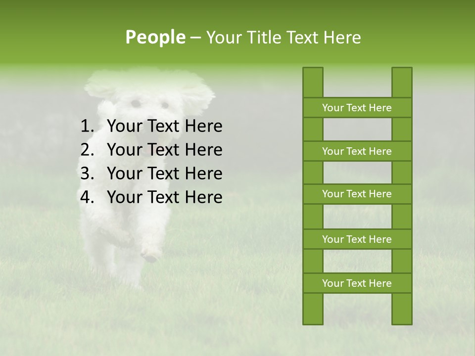 Dog Spring Gallop PowerPoint Template