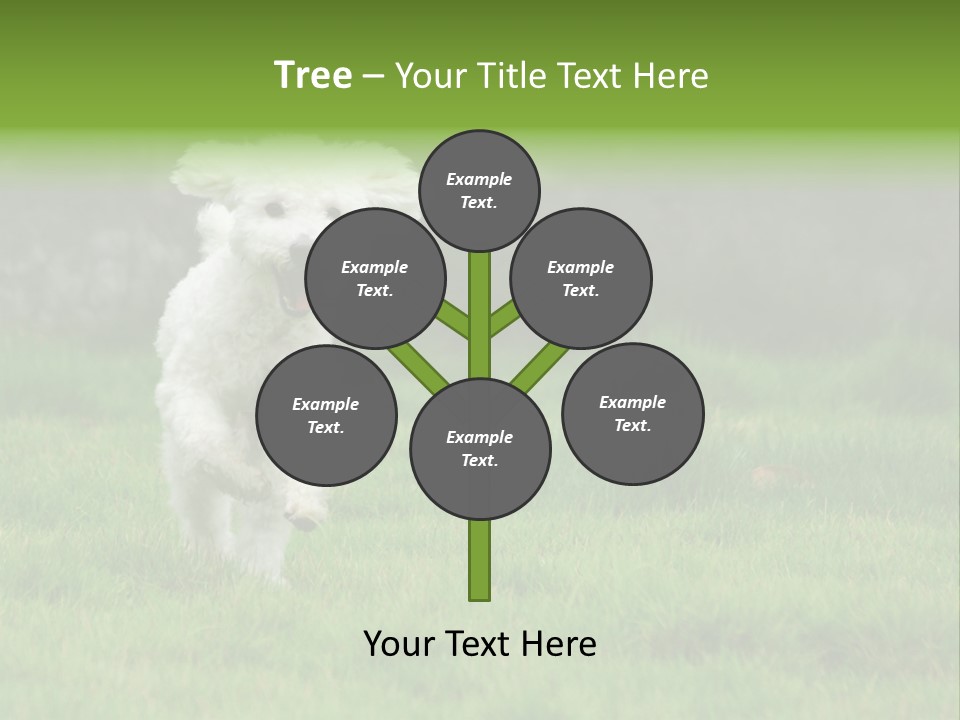 Dog Spring Gallop PowerPoint Template