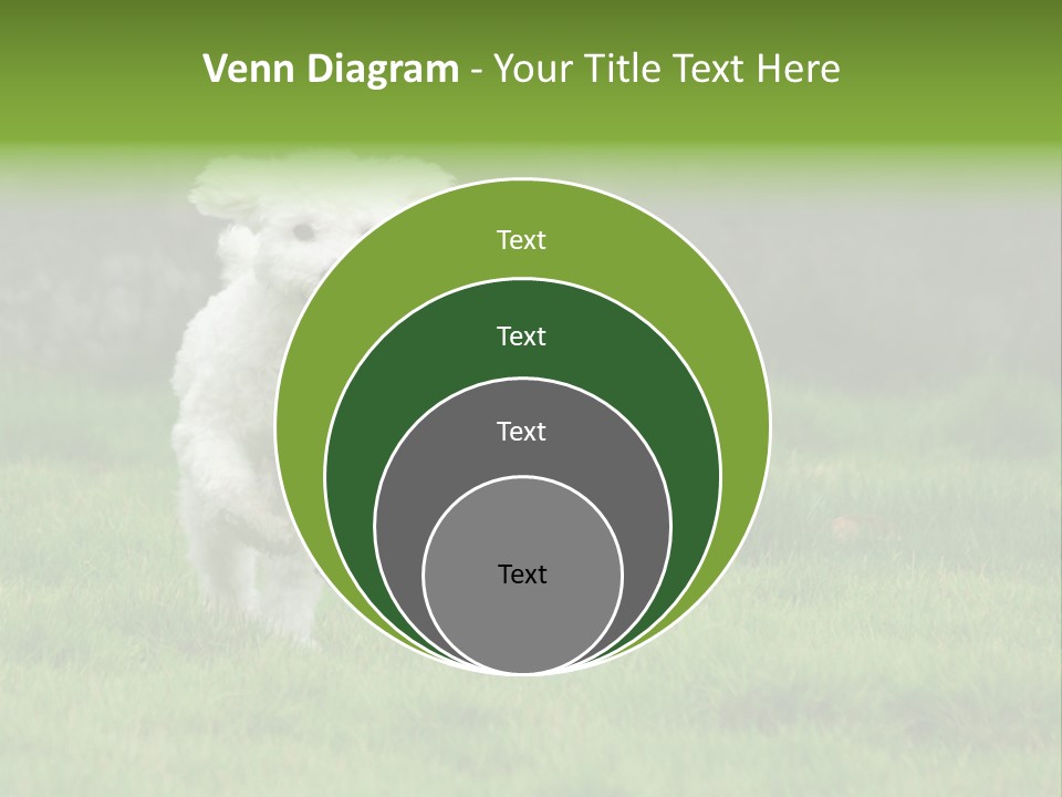 Dog Spring Gallop PowerPoint Template
