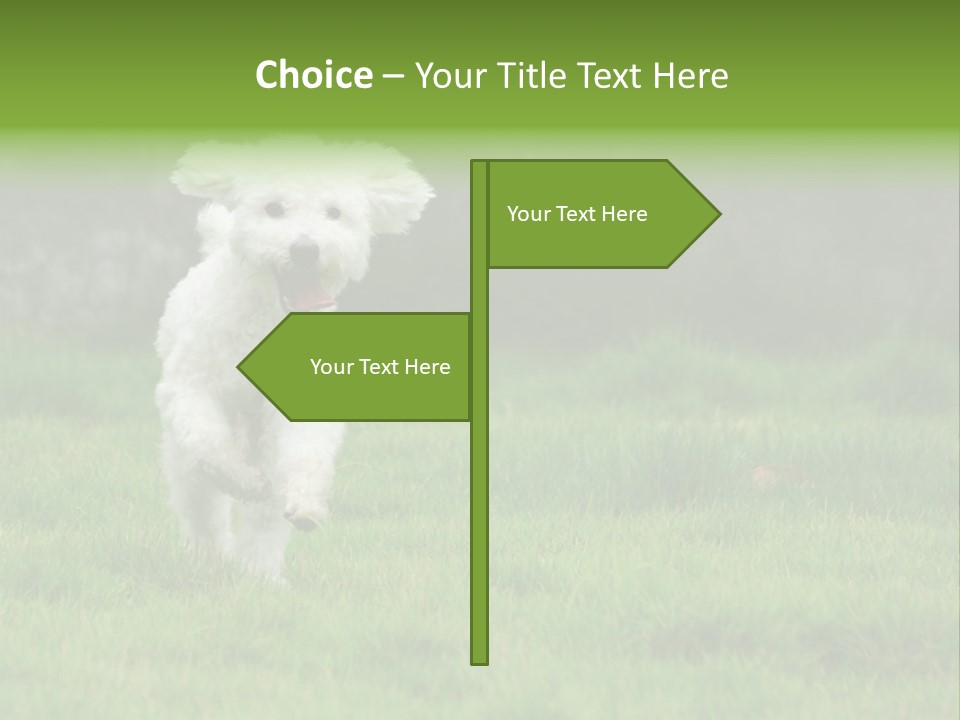 Dog Spring Gallop PowerPoint Template