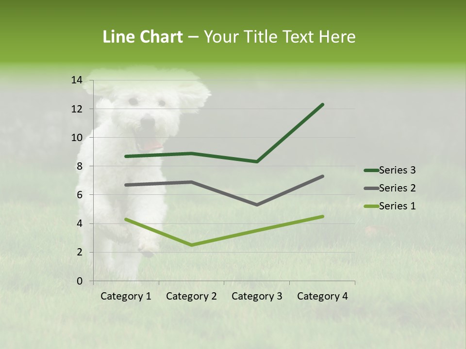 Dog Spring Gallop PowerPoint Template