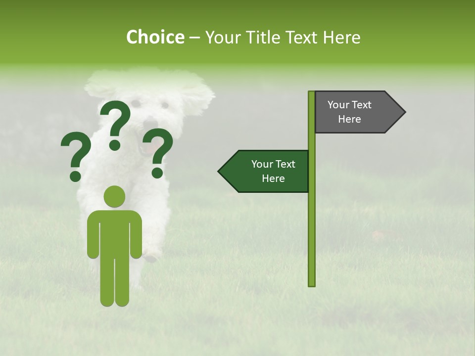 Dog Spring Gallop PowerPoint Template