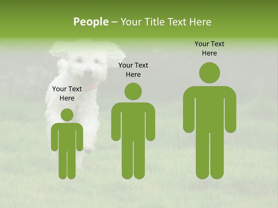 Dog Spring Gallop PowerPoint Template