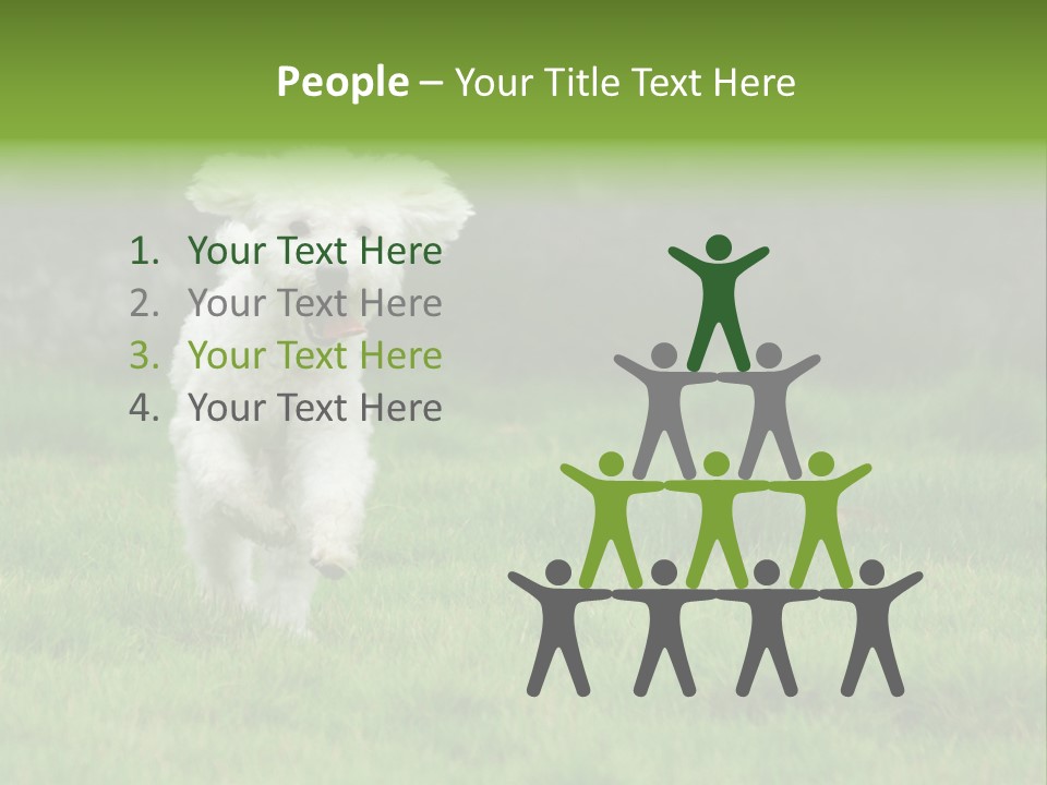 Dog Spring Gallop PowerPoint Template