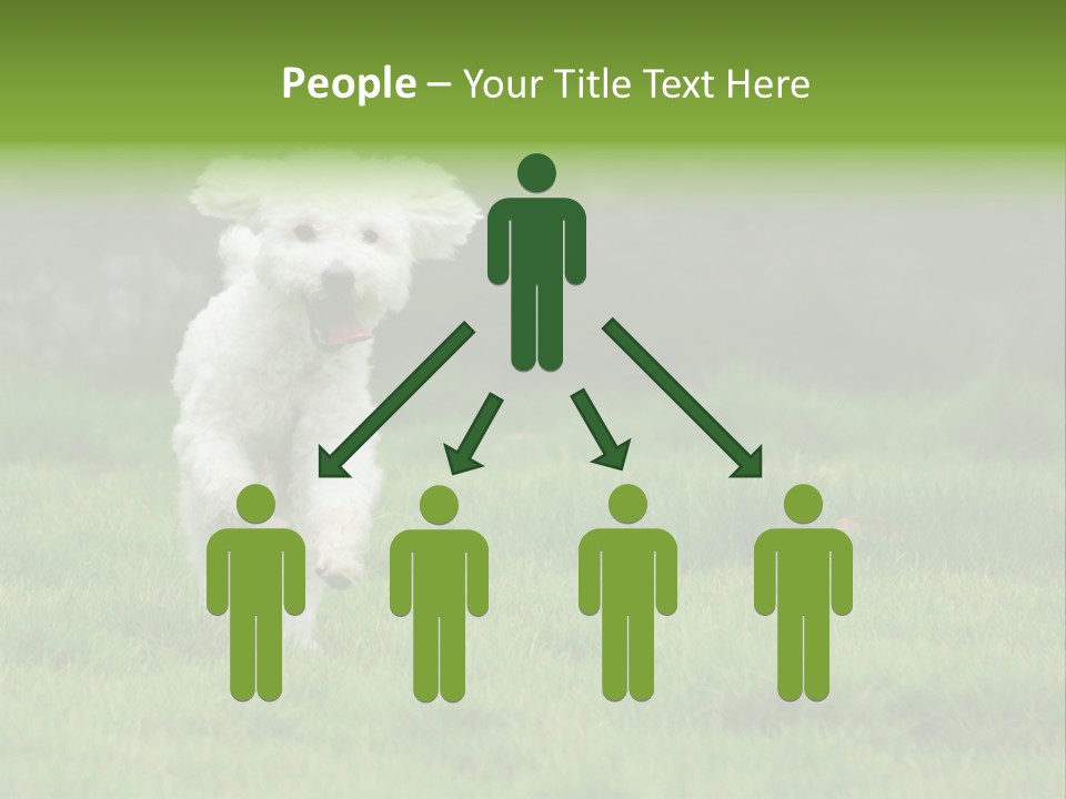 Dog Spring Gallop PowerPoint Template