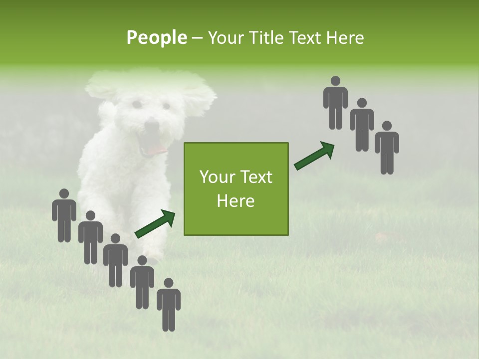 Dog Spring Gallop PowerPoint Template