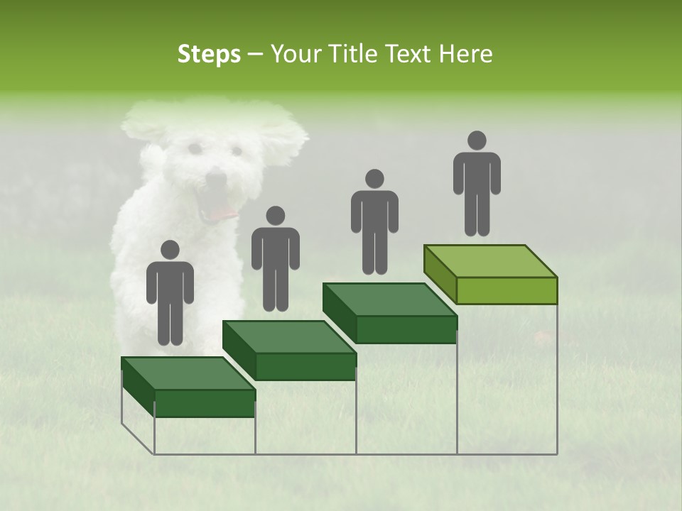 Dog Spring Gallop PowerPoint Template