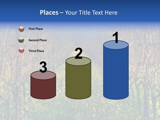 Hill Winery Harvesting PowerPoint Template