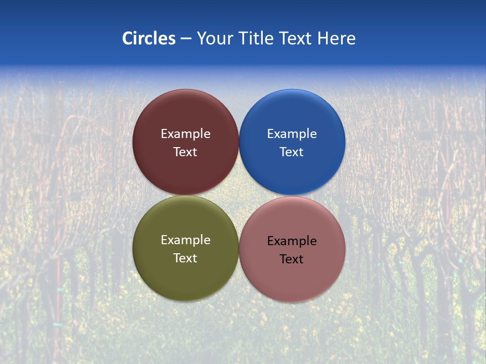 Hill Winery Harvesting PowerPoint Template