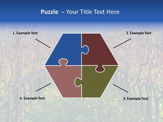 Hill Winery Harvesting PowerPoint Template