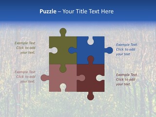 Hill Winery Harvesting PowerPoint Template