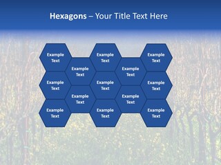 Hill Winery Harvesting PowerPoint Template