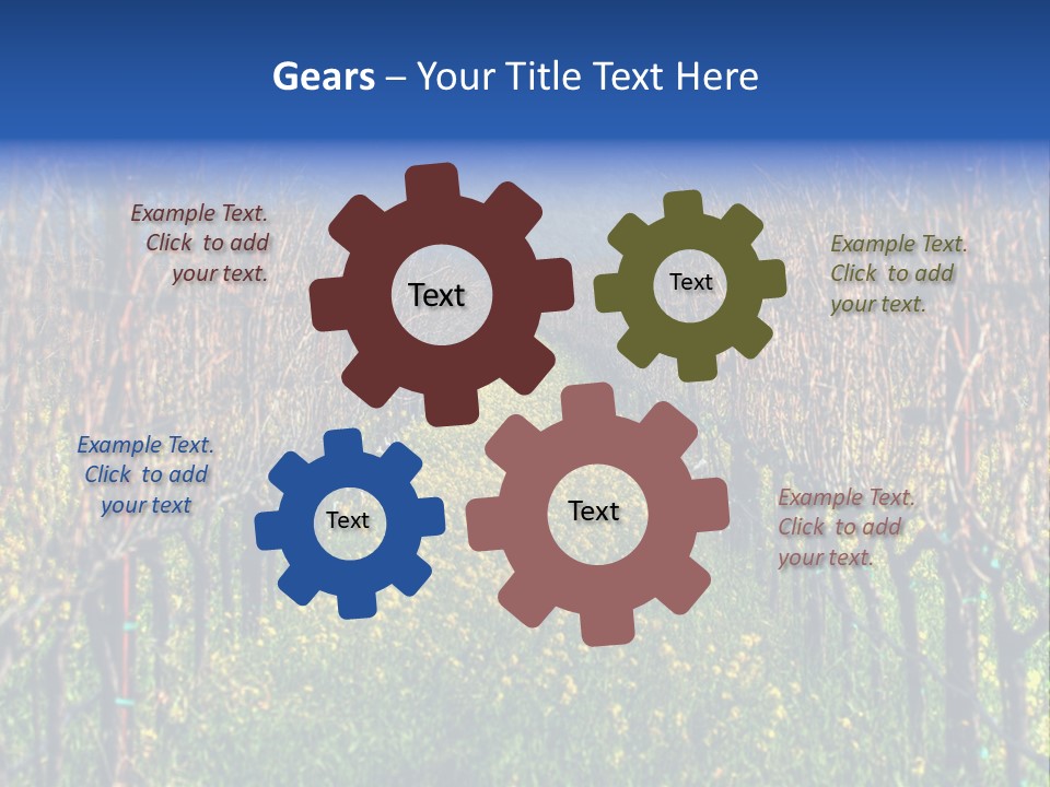 Hill Winery Harvesting PowerPoint Template