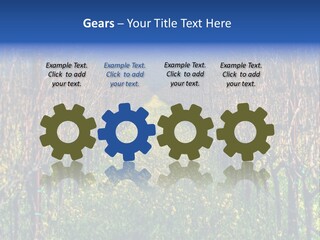 Hill Winery Harvesting PowerPoint Template