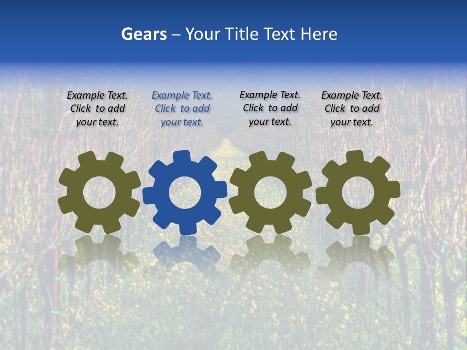 Hill Winery Harvesting PowerPoint Template