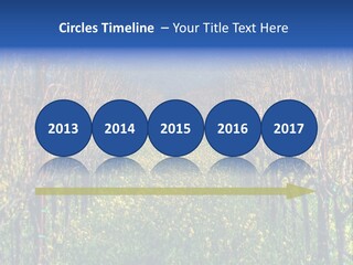 Hill Winery Harvesting PowerPoint Template