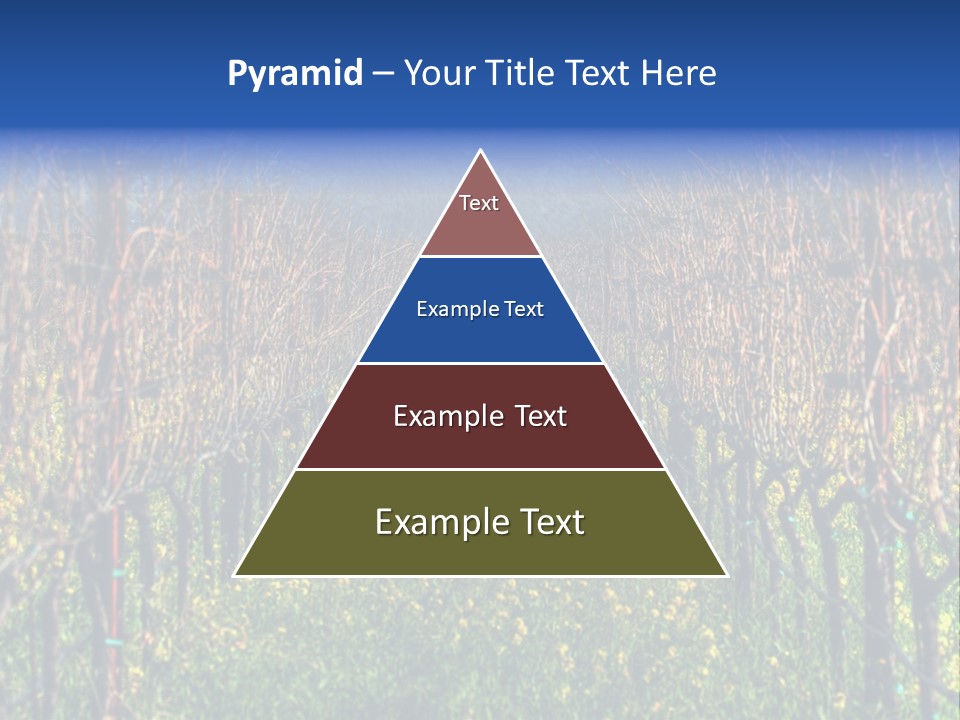 Hill Winery Harvesting PowerPoint Template