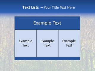 Hill Winery Harvesting PowerPoint Template