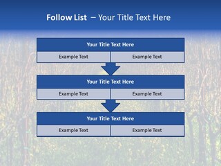 Hill Winery Harvesting PowerPoint Template
