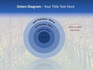 Hill Winery Harvesting PowerPoint Template