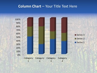 Hill Winery Harvesting PowerPoint Template