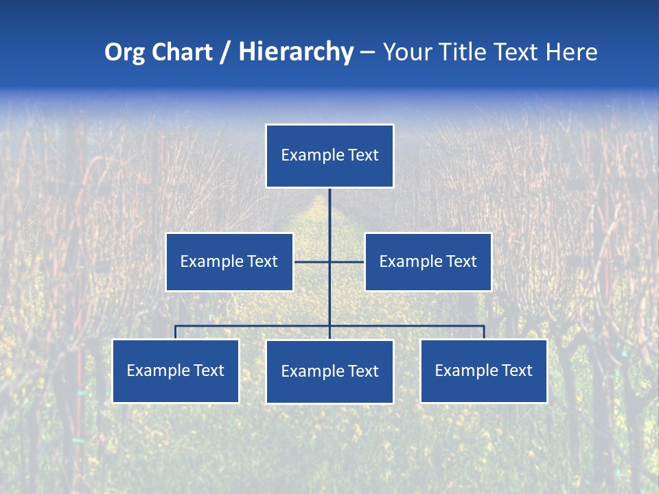 Hill Winery Harvesting PowerPoint Template