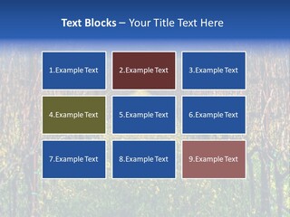 Hill Winery Harvesting PowerPoint Template