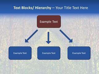 Hill Winery Harvesting PowerPoint Template