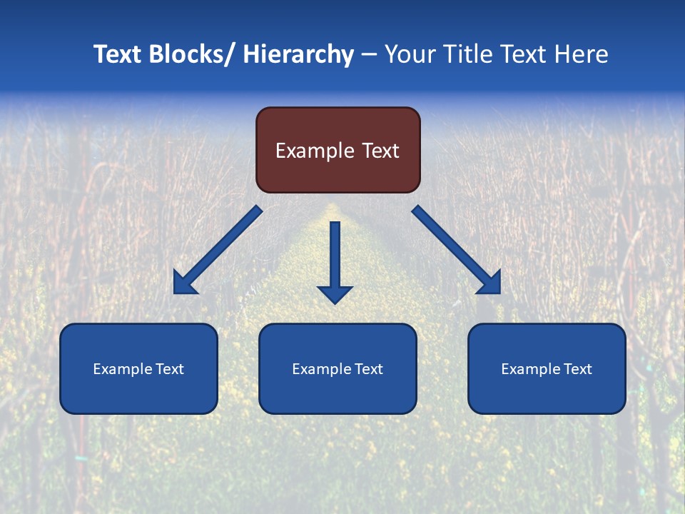 Hill Winery Harvesting PowerPoint Template