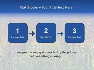 Hill Winery Harvesting PowerPoint Template