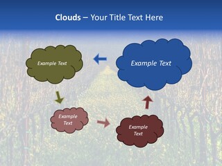 Hill Winery Harvesting PowerPoint Template