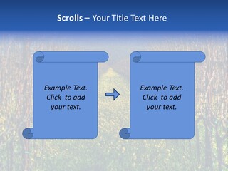 Hill Winery Harvesting PowerPoint Template