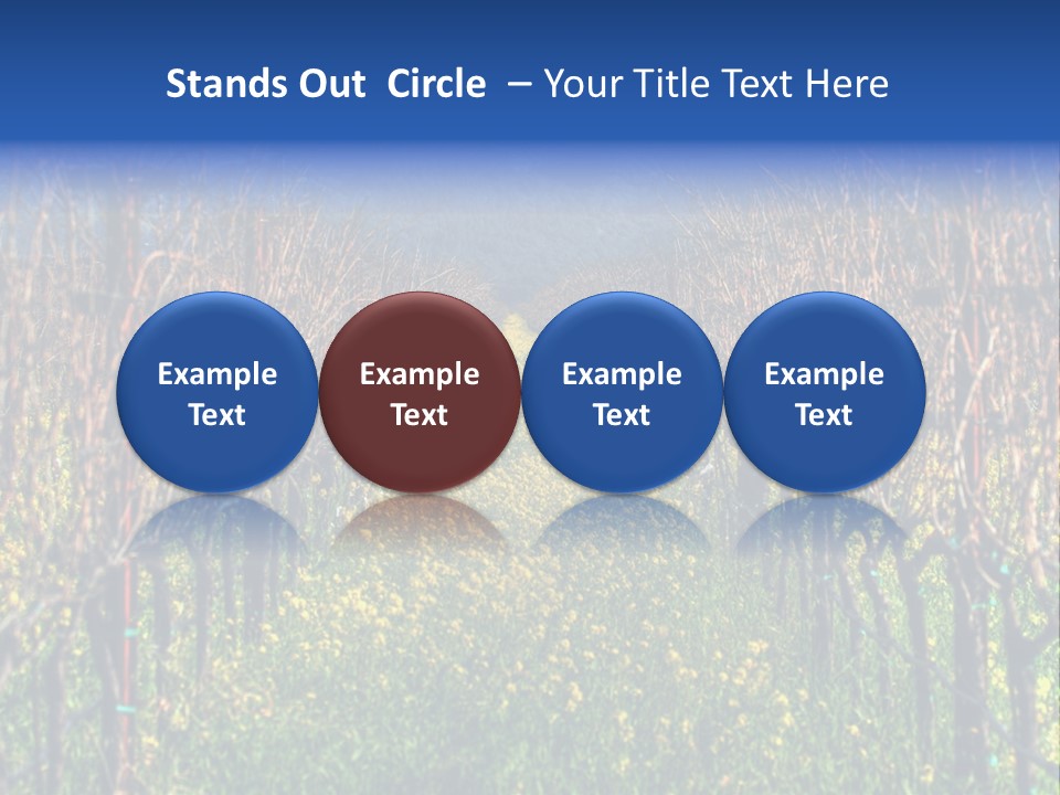 Hill Winery Harvesting PowerPoint Template