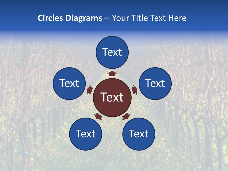 Hill Winery Harvesting PowerPoint Template